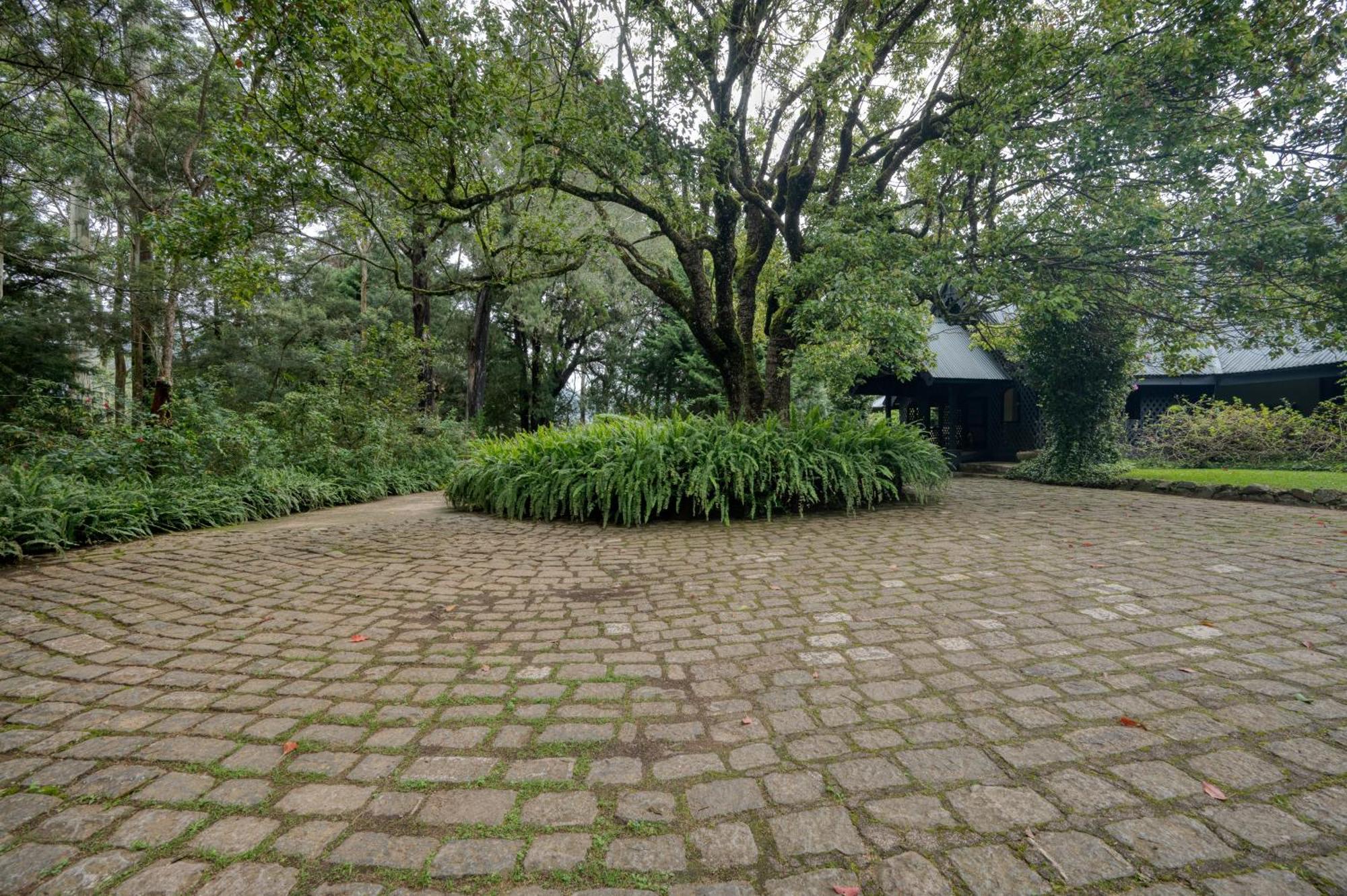 Ferncliff Bungalow Nuwara Eliya Eksteriør billede