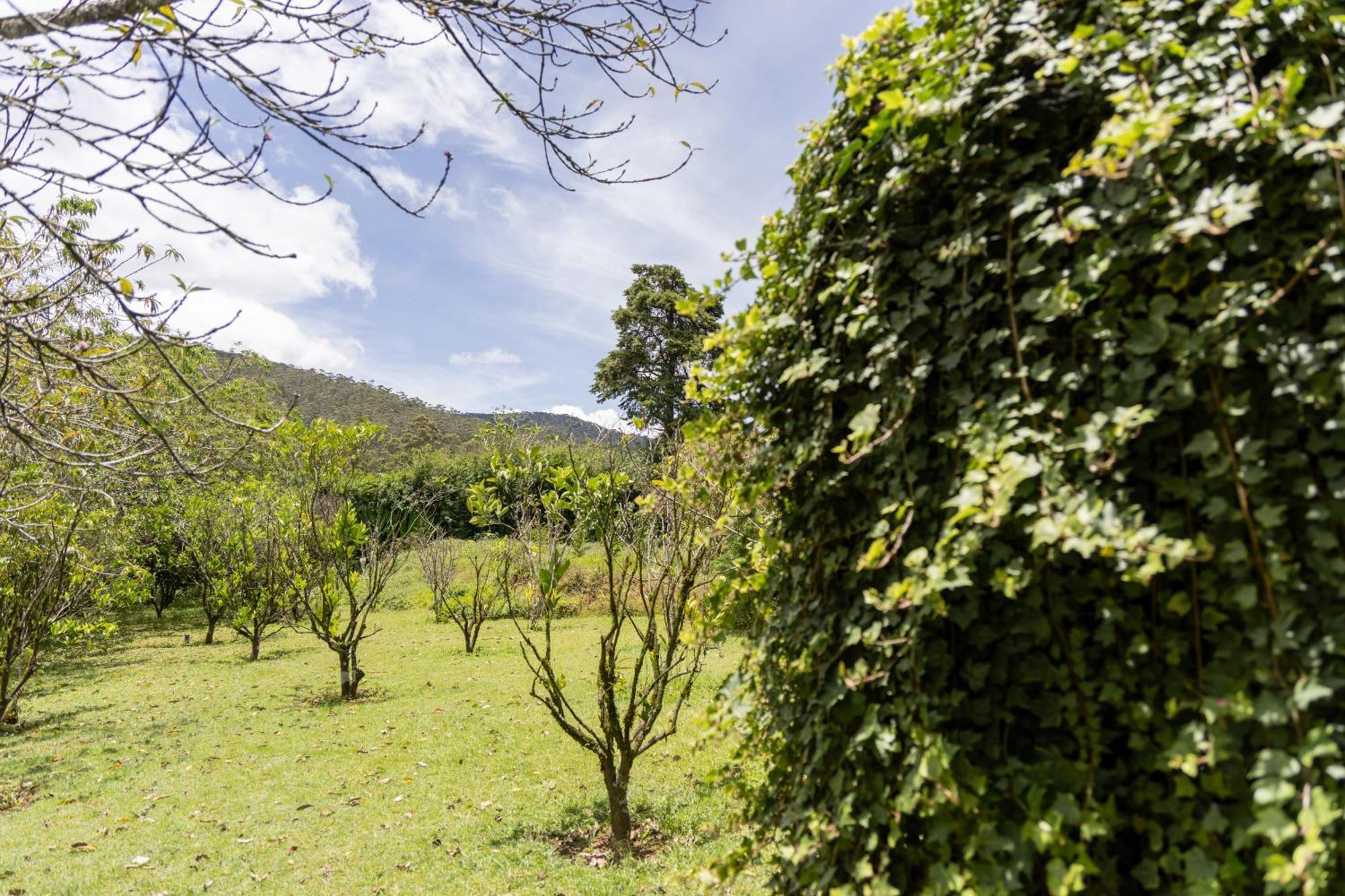 Ferncliff Bungalow Nuwara Eliya Eksteriør billede