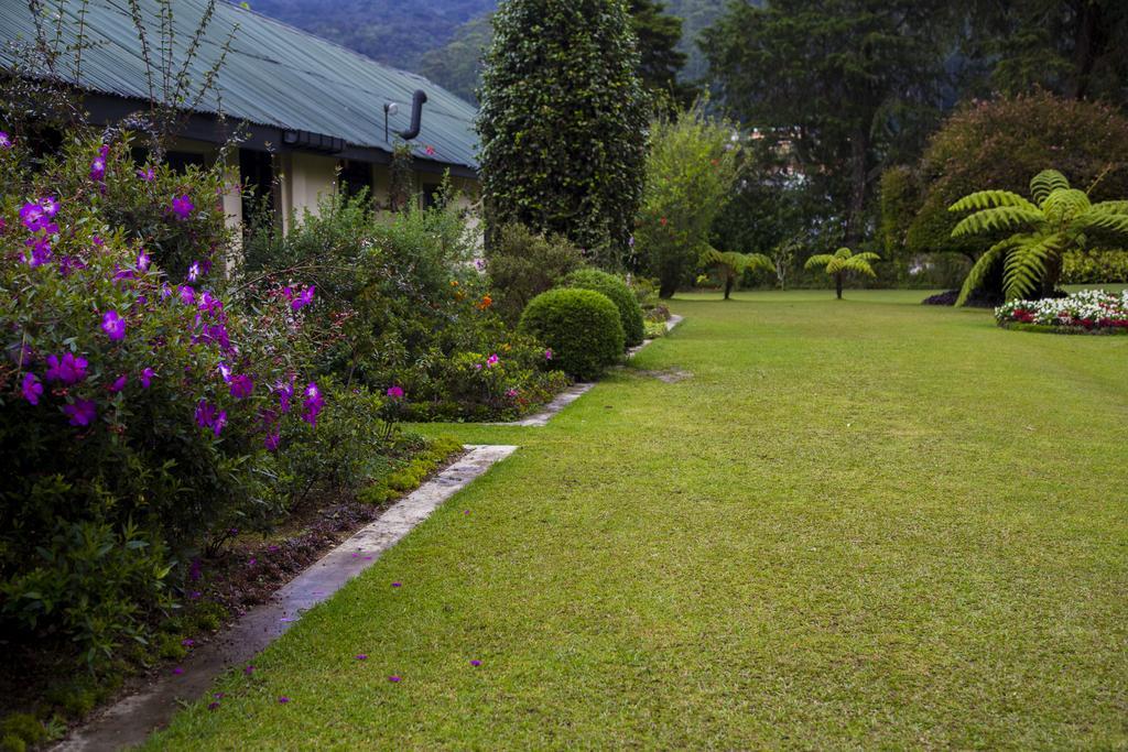 Ferncliff Bungalow Nuwara Eliya Eksteriør billede